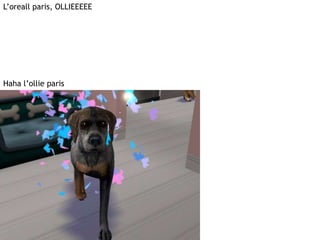 L’oreall paris, OLLIEEEEEHahal’ollie paris