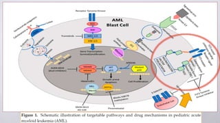 Update in management of AML | PPTX