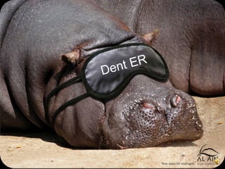 Dent ER 