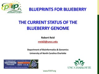 www.P2EP.org
THE CURRENT STATUS OF THE
BLUEBERRY GENOME
Robert Reid
rreid2@uncc.edu
Department of Bioinformatics & Genomics
University of North Carolina Charlotte
BLUEPRINTS FOR BLUEBERRY
 