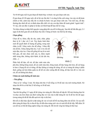 Côn trùng  Wikipedia tiếng Việt
