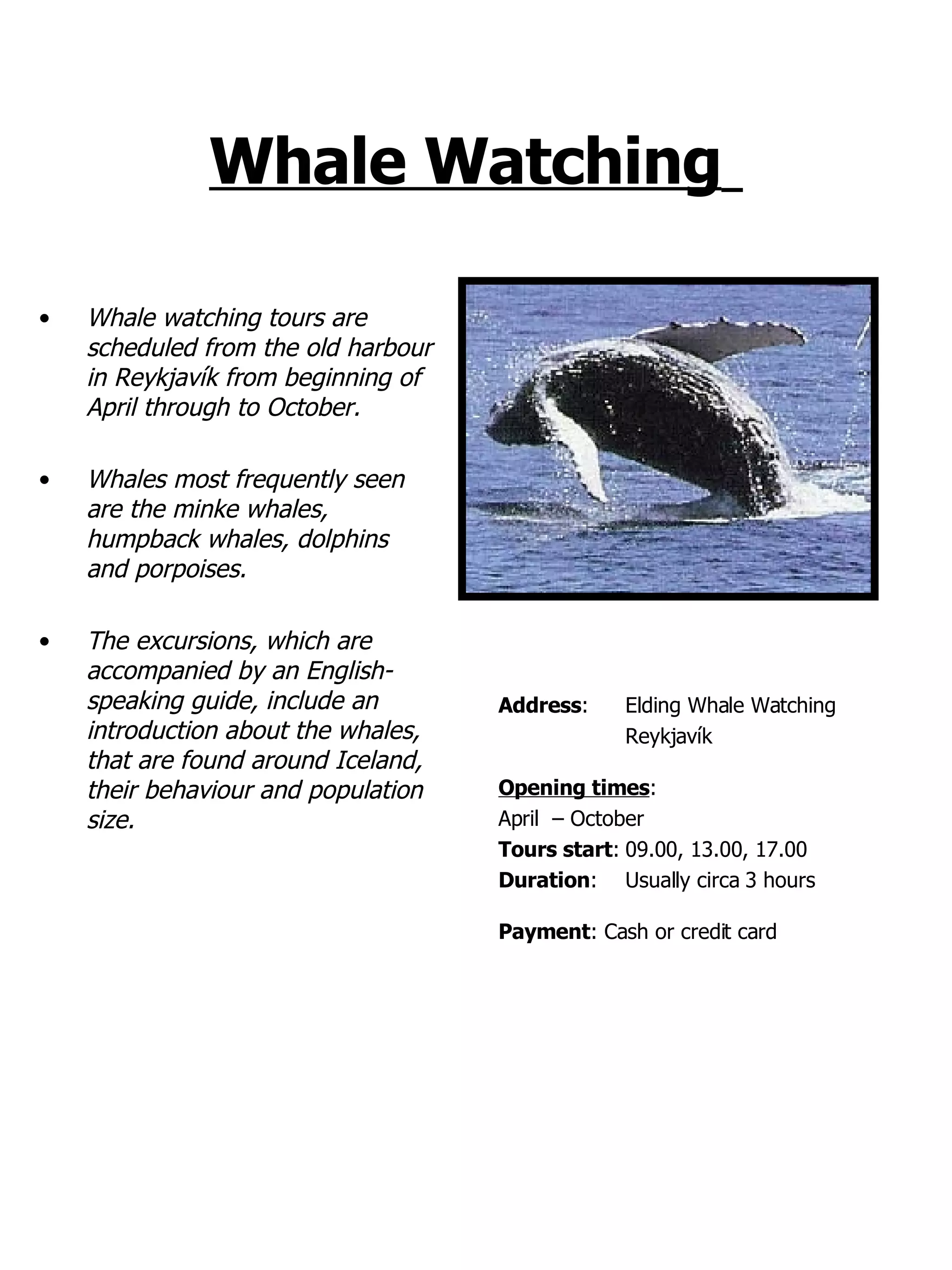 Whale Watching   Whale watching tours are scheduled from the old harbour in Reykjavík from beginning of April through to October.   Whales most frequently seen are the minke whales, humpback whales, dolphins and porpoises.   The excursions, which are accompanied by an English-speaking guide,   include an introduction about the whales, that are found around Iceland, their behaviour and population size.   Address : Elding Whale Watching Reykjavík Opening times : April  – October  Tours start : 09.00, 13.00, 17.00 Duration :  Usually circa 3 hours Payment : Cash or credit card 