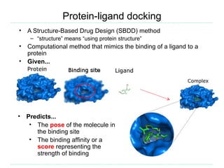 Protein-ligand docking
•   A Structure-Based Drug Design (SBDD) method
     – “structure” means “using protein structure”
•   Computational method that mimics the binding of a ligand to a
    protein
•   Given...




•   Predicts...
     • The pose of the molecule in
       the binding site
     • The binding affinity or a
       score representing the
       strength of binding
 