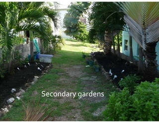 S
Secondary gardens
     d   d
 
