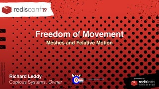 PRESENTED BY
Freedom of Movement
Richard Leddy
Copious Systems, Owner
Meshes and Relative Motion
www.copious.world
 
