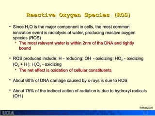 http://dmco.ucla.edu/McBride_Labhttp://dmco.ucla.edu/McBride_Lab
WMcB2008
• Since HSince H22O is the major component in cells, the most commonO is the major component in cells, the most common
ionization event is radiolysis of water, producing reactive oxygenionization event is radiolysis of water, producing reactive oxygen
species (ROS)species (ROS)
• The most relevant water is within 2nm of the DNA and tightlyThe most relevant water is within 2nm of the DNA and tightly
boundbound
• ROS produced include: HROS produced include: H..
- reducing; OH- reducing; OH..
- oxidizing; HO- oxidizing; HO22
..
- oxidizing- oxidizing
(O(O22 + H+ H..
); H); H22OO22 - oxidizing- oxidizing
• The net effect is oxidation of cellular constituentsThe net effect is oxidation of cellular constituents
• About 60% of DNA damage caused by x-rays is due to ROSAbout 60% of DNA damage caused by x-rays is due to ROS
• About 75% of the indirect action of radiation is due to hydroxyl radicalsAbout 75% of the indirect action of radiation is due to hydroxyl radicals
(OH(OH..
))
Reactive Oxygen Species (ROS)Reactive Oxygen Species (ROS)
 