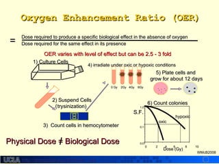 http://dmco.ucla.edu/McBride_Labhttp://dmco.ucla.edu/McBride_Lab
WMcB2008
Oxygen Enhancement RatioOxygen Enhancement Ratio (OER)(OER)
Dose required to produce a specific biological effect in the absence of oxygenDose required to produce a specific biological effect in the absence of oxygen
Dose required for the same effect in its presenceDose required for the same effect in its presence==
OER varies with level of effect but can be 2.5 - 3 foldOER varies with level of effect but can be 2.5 - 3 fold
1) Culture Cells1) Culture Cells
((
3) Count cells in hemocytometer3) Count cells in hemocytometer
4) irradiate under oxic or hypoxic conditions4) irradiate under oxic or hypoxic conditions
0 Gy 2Gy 4Gy 6Gy0 Gy 2Gy 4Gy 6Gy
5) Plate cells and5) Plate cells and
grow for about 12 daysgrow for about 12 days
..
..
..
..
..
.... ..
6) Count colonies6) Count colonies
Dose (Gy)Dose (Gy)
S.F.S.F.
0 2 4 6 8 100 2 4 6 8 10
1.01.0
0.10.1
0.010.01
oxicoxic
hypoxichypoxic
Physical Dose = Biological DosePhysical Dose = Biological Dose
2) Suspend Cells2) Suspend Cells
trysinization)trysinization)
 