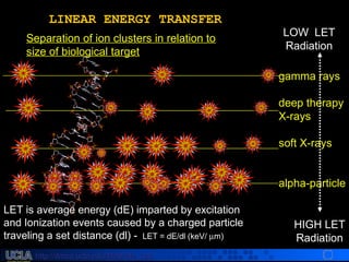 http://dmco.ucla.edu/McBride_Labhttp://dmco.ucla.edu/McBride_Lab
WMcB2008
gamma raysgamma rays
deep therapydeep therapy
X-raysX-rays
soft X-rayssoft X-rays
alpha-particlealpha-particle
HIGH LETHIGH LET
RadiationRadiation
LOW LETLOW LET
RadiationRadiation
Separation of ion clusters in relation toSeparation of ion clusters in relation to
size of biological targetsize of biological target
LINEAR ENERGY TRANSFERLINEAR ENERGY TRANSFER
LET is average energy (dE) imparted by excitationLET is average energy (dE) imparted by excitation
and Ionization events caused by a charged particleand Ionization events caused by a charged particle
traveling a set distance (dl) -traveling a set distance (dl) - LET = dE/dl (keV/LET = dE/dl (keV/ µµm)m)
 