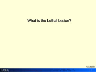 http://dmco.ucla.edu/McBride_Labhttp://dmco.ucla.edu/McBride_Lab
WMcB2008
What is the Lethal Lesion?What is the Lethal Lesion?
 