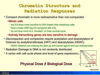 http://dmco.ucla.edu/McBride_Labhttp://dmco.ucla.edu/McBride_Lab
WMcB2008
Chromatin Structure andChromatin Structure and
Radiation ResponsesRadiation Responses
• Compact chromatin is more radiosensitive than non-compactedCompact chromatin is more radiosensitive than non-compacted
–Mitotic cellsMitotic cells
• are 2.8 times more sensitive to DNA breaks than interphase cellsare 2.8 times more sensitive to DNA breaks than interphase cells
• have a lower OER (eg 2.0 compared with 2.8)have a lower OER (eg 2.0 compared with 2.8)
• do not have much of ado not have much of a “shoulder” on their survival curve“shoulder” on their survival curve
–Actively transcribing genes are less sensitive to damageActively transcribing genes are less sensitive to damage
• Decompaction and compaction require acetylation and deacetylation ofDecompaction and compaction require acetylation and deacetylation of
histones by acetyltransferases (HAT) and deacetylases (HDAC)histones by acetyltransferases (HAT) and deacetylases (HDAC)
• HDAC inhibitors are entering the clinic as anti-cancer agents and can radiosensitizeHDAC inhibitors are entering the clinic as anti-cancer agents and can radiosensitize
• Radiation Damage to DNA is not randomly distributed.Radiation Damage to DNA is not randomly distributed.
• It varies with cell cycle phase and level of gene expressionIt varies with cell cycle phase and level of gene expression
Physical Dose = Biological DosePhysical Dose = Biological Dose
S.F.S.F.
20201616121288440000
.01.01
.1.1
11
Dose (Gy)Dose (Gy)
LATE SLATE S
EARLY SEARLY S
G1 PHASEG1 PHASE
G2/M PHASEG2/M PHASE
 