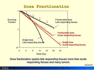 http://dmco.ucla.edu/McBride_Labhttp://dmco.ucla.edu/McBride_Lab
WMcB2008
Dose (Gy)Dose (Gy)
Dose FractionationDose Fractionation
242420201616121288440000
.01.01
.1.1
11
SurvivingSurviving
FractionFraction
Single doseSingle dose
Late responding tissuesLate responding tissues Single doseSingle dose
Acute responding tissuesAcute responding tissues
Fractionated doseFractionated dose
Acute responding tissuesAcute responding tissues
Fractionated doseFractionated dose
Late responding tissuesLate responding tissues
Dose fractionation spares late responding tissues more than acuteDose fractionation spares late responding tissues more than acute
responding tissues and many tumorsresponding tissues and many tumors
 