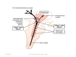 Updated 2025Lect.1-Pain-I Types causes & Temperature-.ppsx