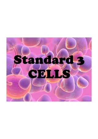 Cells 3.1 .flipchart 