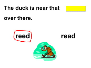 The duck is near that
over there.
reed read
 