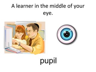 A learner in the middle of your
eye.
pupil
 