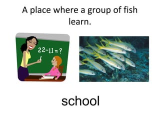 A place where a group of fish
learn.
school
 