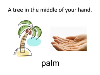 A tree in the middle of your hand.
palm
 