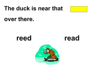 The duck is near that
over there.
reed read
 