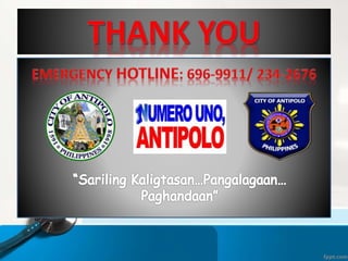 Updated bls training