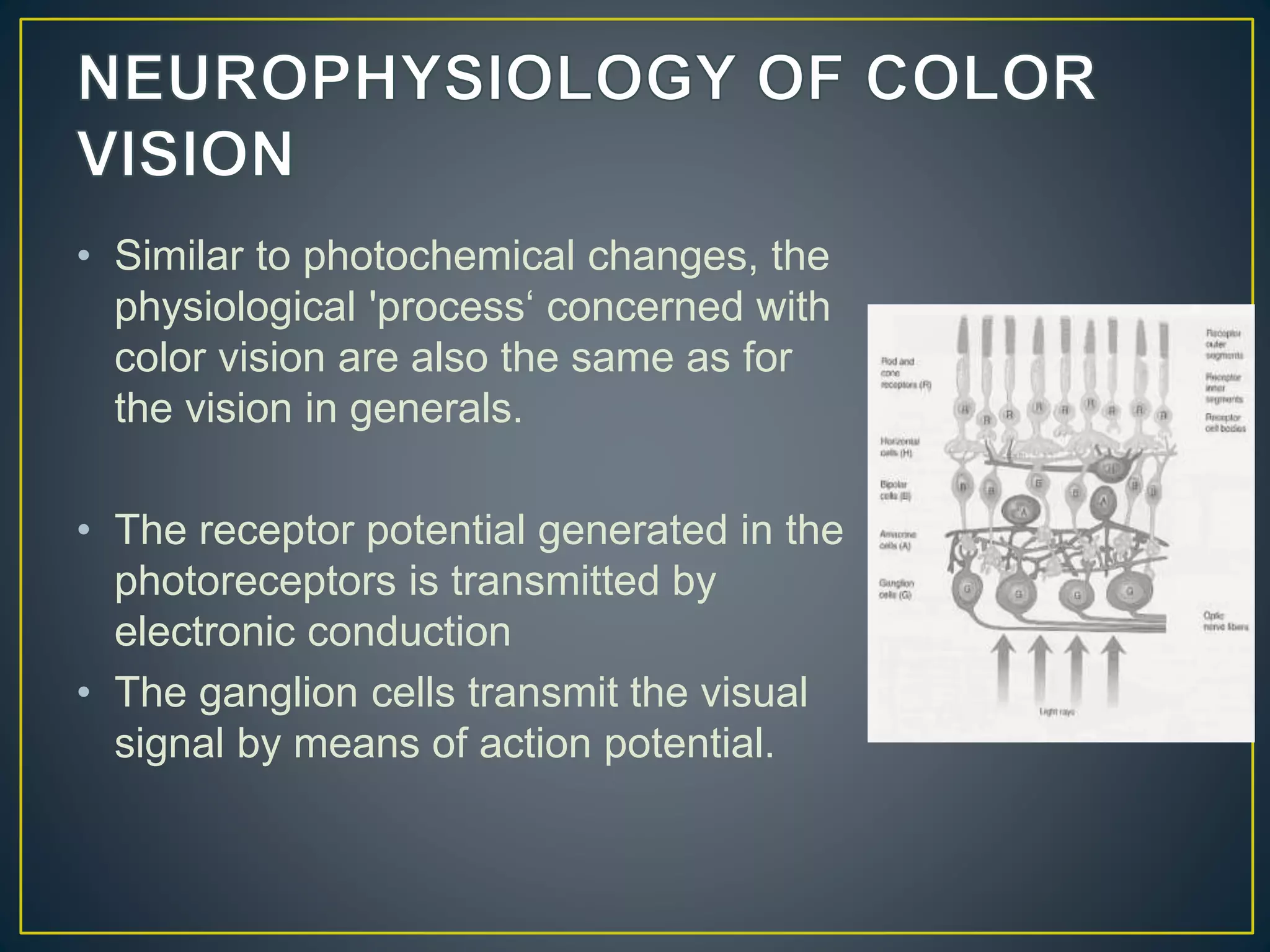 • Similar to photochemical changes, the
physiological 'process‘ concerned with
color vision are also the same as for
the vision in generals.
• The receptor potential generated in the
photoreceptors is transmitted by
electronic conduction
• The ganglion cells transmit the visual
signal by means of action potential.
 