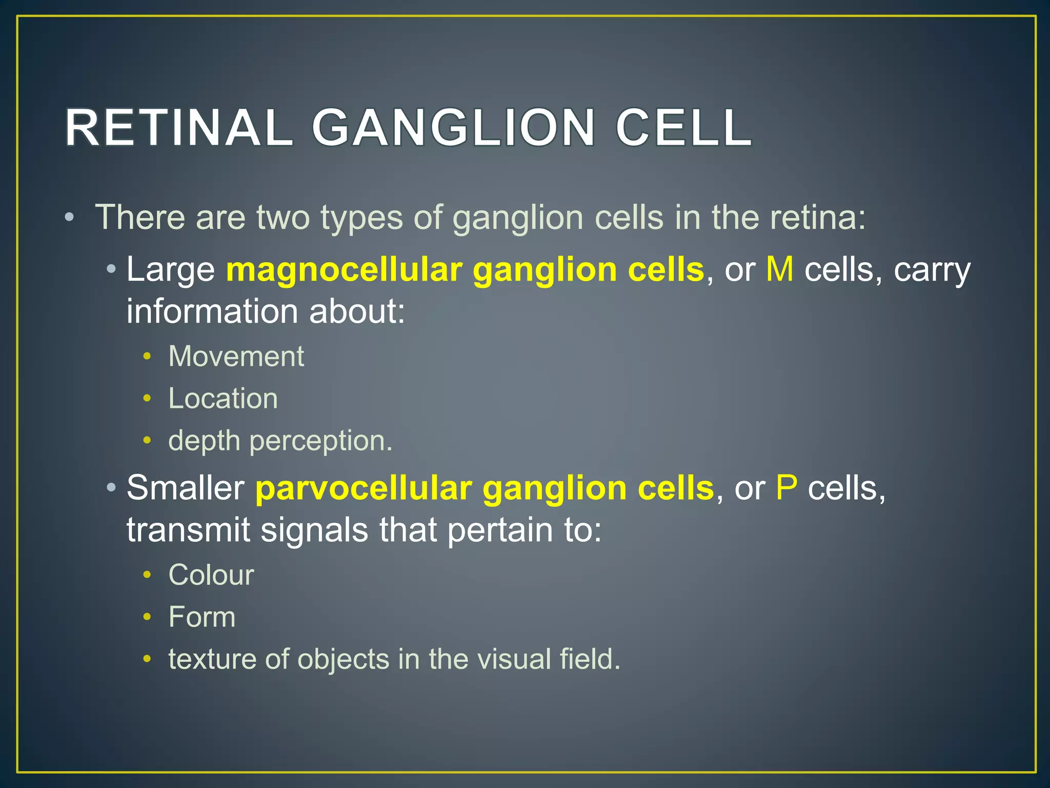 • There are two types of ganglion cells in the retina:
• Large magnocellular ganglion cells, or M cells, carry
information about:
• Movement
• Location
• depth perception.
• Smaller parvocellular ganglion cells, or P cells,
transmit signals that pertain to:
• Colour
• Form
• texture of objects in the visual field.
 