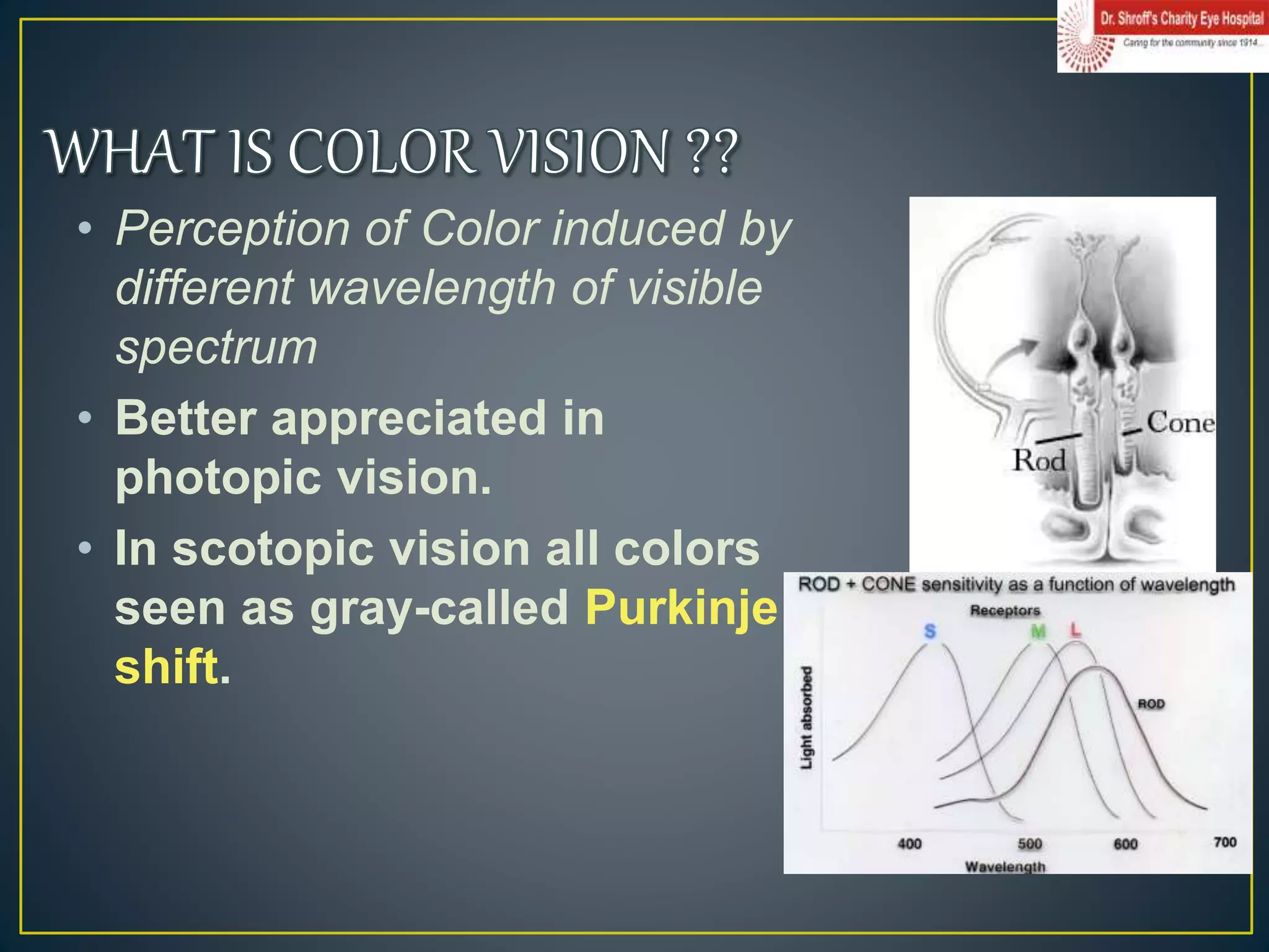 color vision.ppt