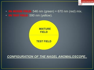 color vision.ppt
