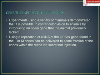 color vision.ppt