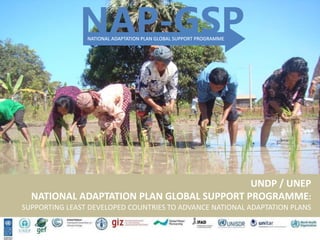 UNDP / UNEP
NATIONAL ADAPTATION PLAN GLOBAL SUPPORT PROGRAMME:
SUPPORTING LEAST DEVELOPED COUNTRIES TO ADVANCE NATIONAL ADAPTATION PLANS
 