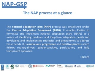 The national adaptation plan (NAP) process was established under
the Cancun Adaptation Framework (2010). It enables Parties to
formulate and implement national adaptation plans (NAPs) as a
means of identifying medium- and long-term adaptation needs and
developing and implementing strategies and programmes to address
those needs. It is continuous, progressive and iterative process which
follows country-driven, gender-sensitive, participatory and fully
transparent approach.
UNFCCC
The NAP process at a glance
 