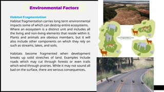 Updated_Environmental degradation & Climate change policies (1) (1).pptx