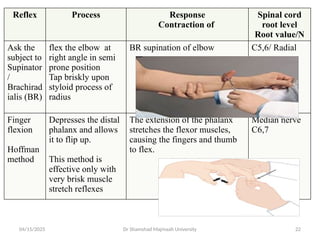 updated Examination of Motor System with reference 2025.pptx
