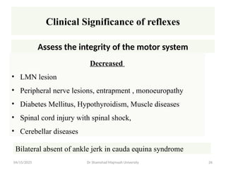 updated Examination of Motor System with reference 2025.pptx