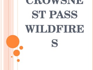 CROWSNEST PASS WILDFIRES 