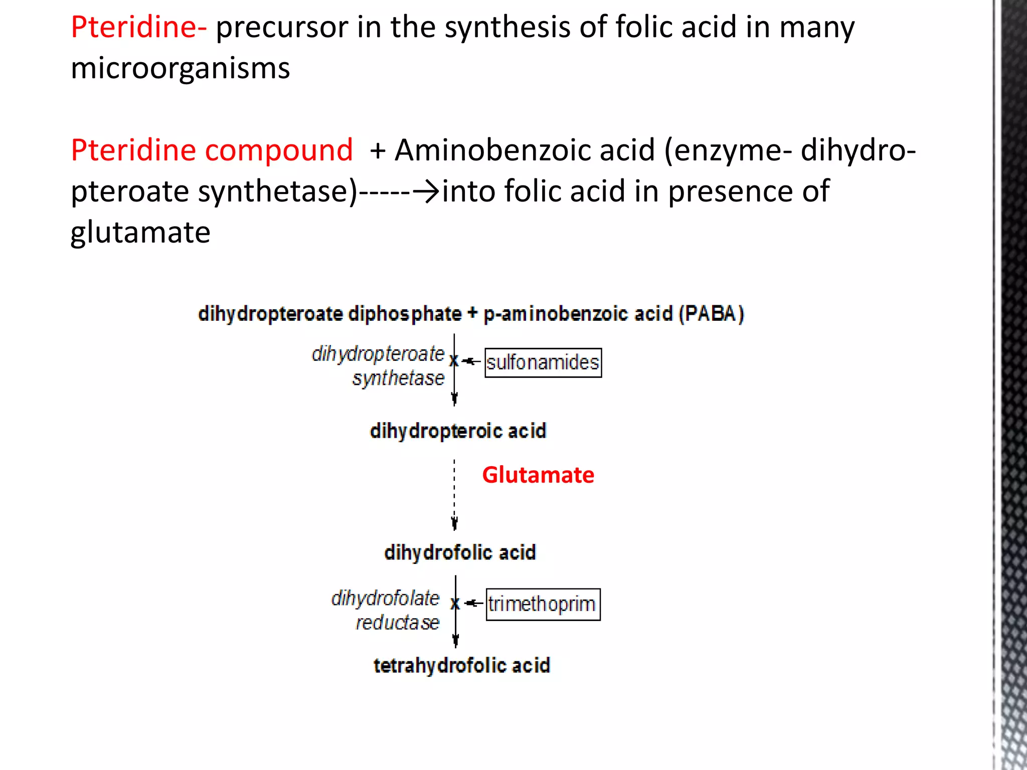 Pteridine- precursor in the synthesis of folic acid in many
microorganisms
Pteridine compound + Aminobenzoic acid (enzyme- dihydro-
pteroate synthetase)-----→into folic acid in presence of
glutamate
Glutamate
 