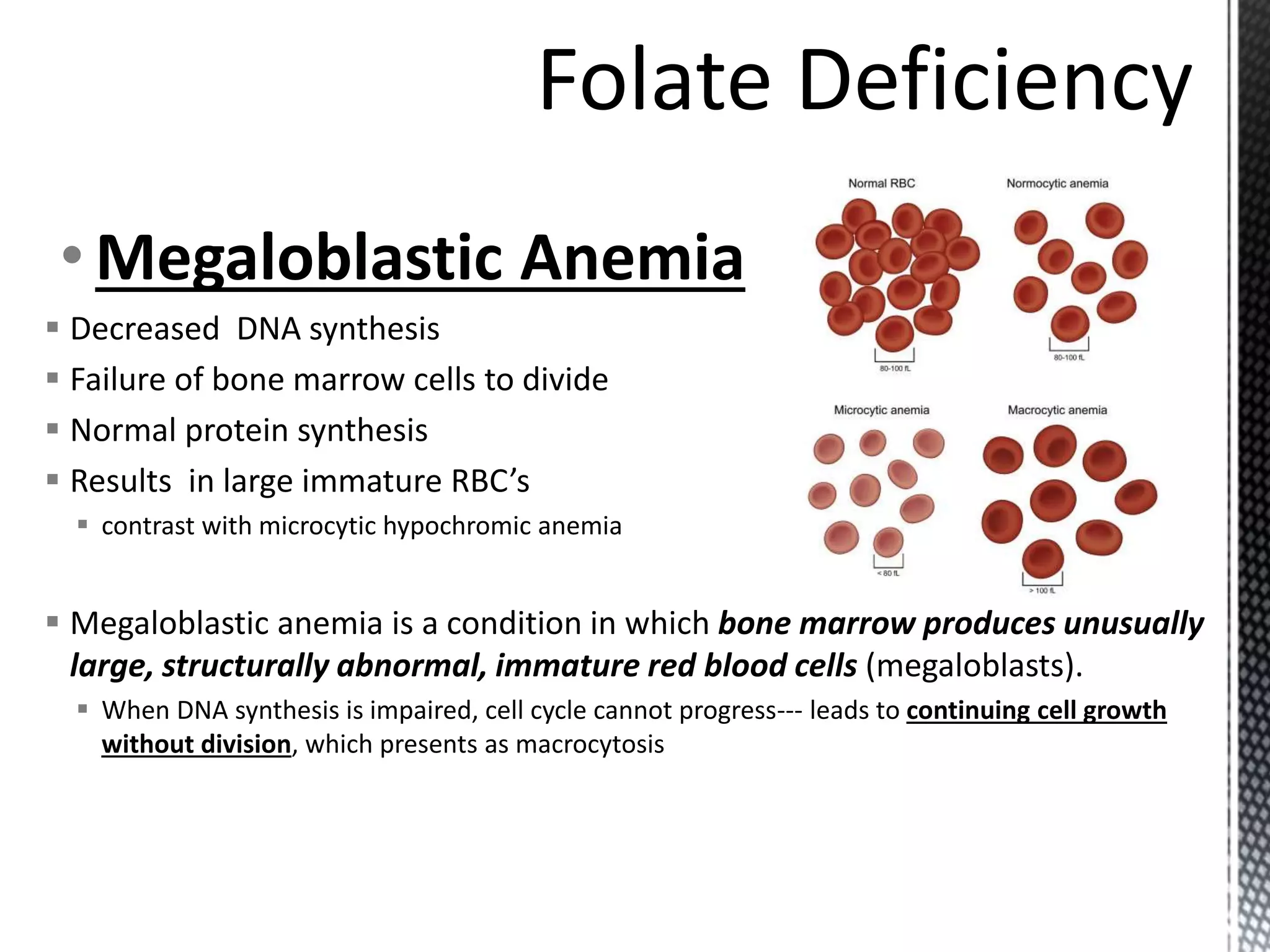 • Megaloblastic Anemia
 Decreased DNA synthesis
 Failure of bone marrow cells to divide
 Normal protein synthesis
 Results in large immature RBC’s
 contrast with microcytic hypochromic anemia
 Megaloblastic anemia is a condition in which bone marrow produces unusually
large, structurally abnormal, immature red blood cells (megaloblasts).
 When DNA synthesis is impaired, cell cycle cannot progress--- leads to continuing cell growth
without division, which presents as macrocytosis
 