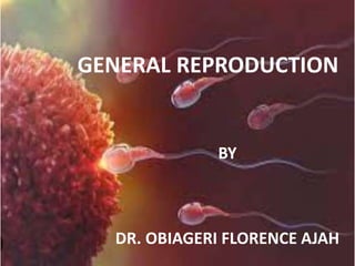 Reproduction Practically Reproduction and everything in-between... | PPT