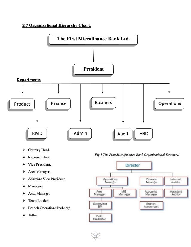 First Bank Organizational Chart