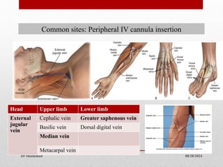 08/28/2024
Dr Shamshad
6
Common sites: Peripheral IV cannula insertion
Head Upper limb Lower limb
External
jugular
vein
Cephalic vein Greater saphenous vein
Basilic vein Dorsal digital vein
Median vein
Metacarpal vein
 
