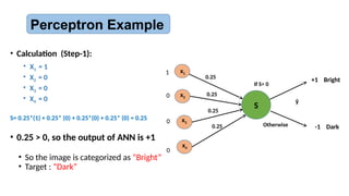 • Calculation (Step-1):
• X1 = 1
• X2 = 0
• X3 = 0
• X4 = 0
S= 0.25*(1) + 0.25* (0) + 0.25*(0) + 0.25* (0) = 0.25
• 0.25 > 0, so the output of ANN is +1
• So the image is categorized as “Bright”
• Target : “Dark”
Perceptron Example
x1
x2
x3
x4
S
ŷ
0.25
0.25
0.25
0.25
1
0
0
0
+1 Bright
If S> 0
-1 Dark
Otherwise
 