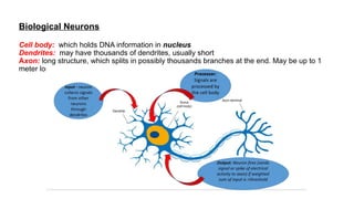 Biological Neurons
Cell body: which holds DNA information in nucleus
Dendrites: may have thousands of dendrites, usually short
Axon: long structure, which splits in possibly thousands branches at the end. May be up to 1
meter long
 