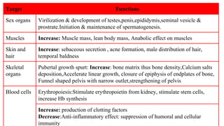 Endocrine functions of the testes | PPTX