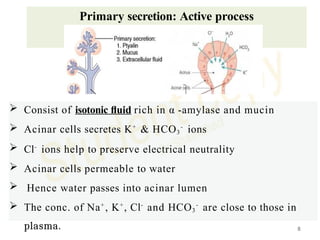 lecture :Physiology of salivary gland secretion | PPSX