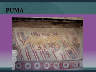 PUMA
 