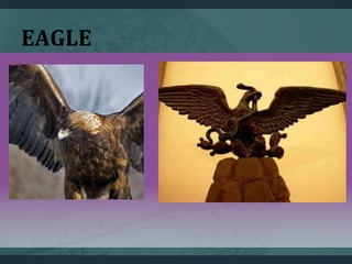 EAGLE
 