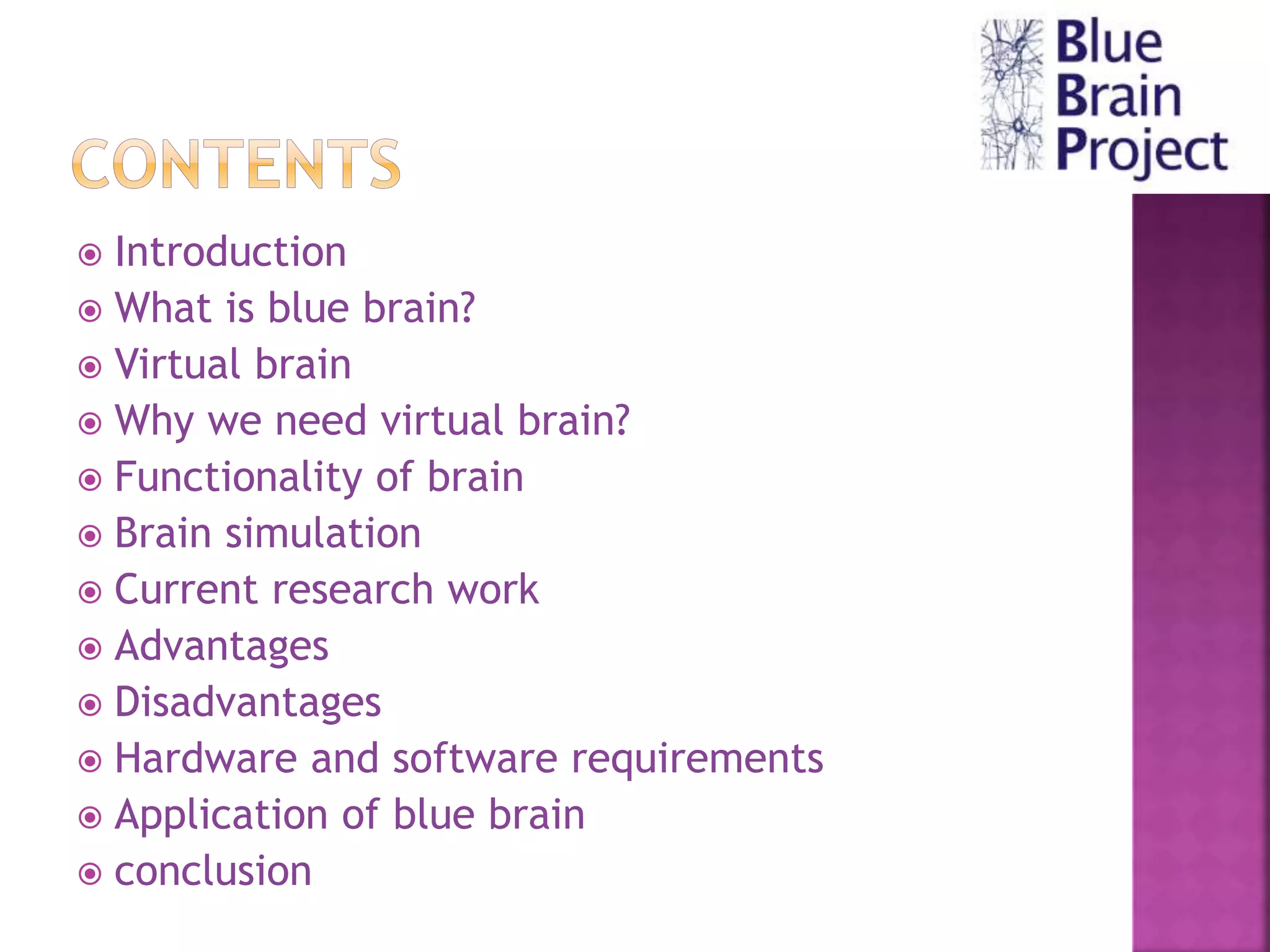 The Blue Brain Project | PPTX