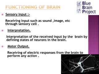  Sensory Input :-
Receiving input such as sound ,image, etc
through sensory cell .
 Interpretation.
Interpretation of the received input by the brain by
defining states of neurons in the brain.
 Motor Output.
Receiving of electric responses from the brain to
perform any action .
 