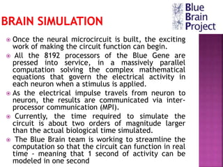  Once the neural microcircuit is built, the exciting
work of making the circuit function can begin.
 All the 8192 processors of the Blue Gene are
pressed into service, in a massively parallel
computation solving the complex mathematical
equations that govern the electrical activity in
each neuron when a stimulus is applied.
 As the electrical impulse travels from neuron to
neuron, the results are communicated via inter-
processor communication (MPI).
 Currently, the time required to simulate the
circuit is about two orders of magnitude larger
than the actual biological time simulated.
 The Blue Brain team is working to streamline the
computation so that the circuit can function in real
time - meaning that 1 second of activity can be
modeled in one second
 