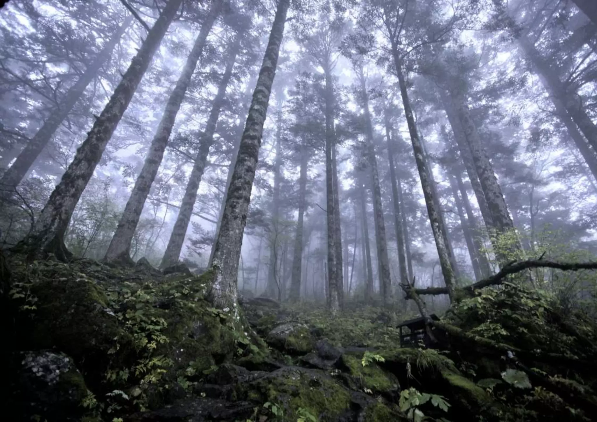 Teach-in DC/Age of Responsibility 14 July 2015
• More Timely => Like “Help to Buy”
• Easier & More Social =>
Workplace ISA
• Easier & More Social => Source of
Retirement Income
• More Attractive => E-E-E
• Less Cost => Annual Allowance £5k
& Flat Tax
 