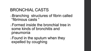 BRONCHIAL CASTS
oBranching structures of fibrin called
“fibrinous casts “
oFormed inside the bronchial tree in
some kinds of bronchitis and
pneumonia
oFound in the sputum when they
expelled by coughing
 